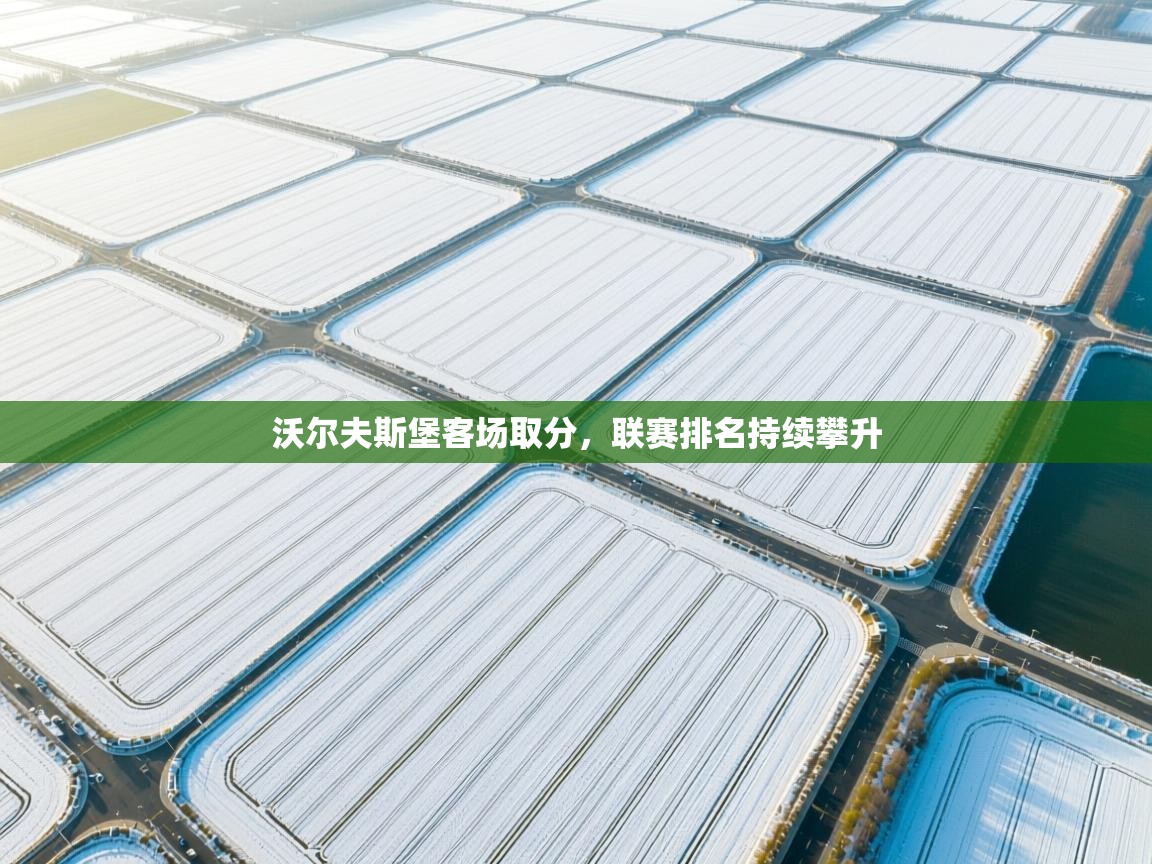 沃尔夫斯堡客场取分，联赛排名持续攀升