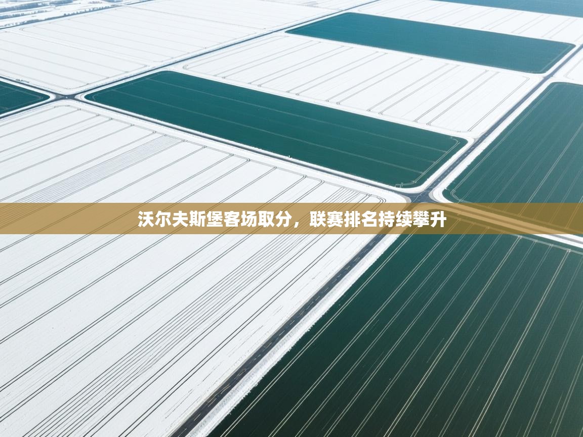 沃尔夫斯堡客场取分,联赛排名持续攀升 第2张