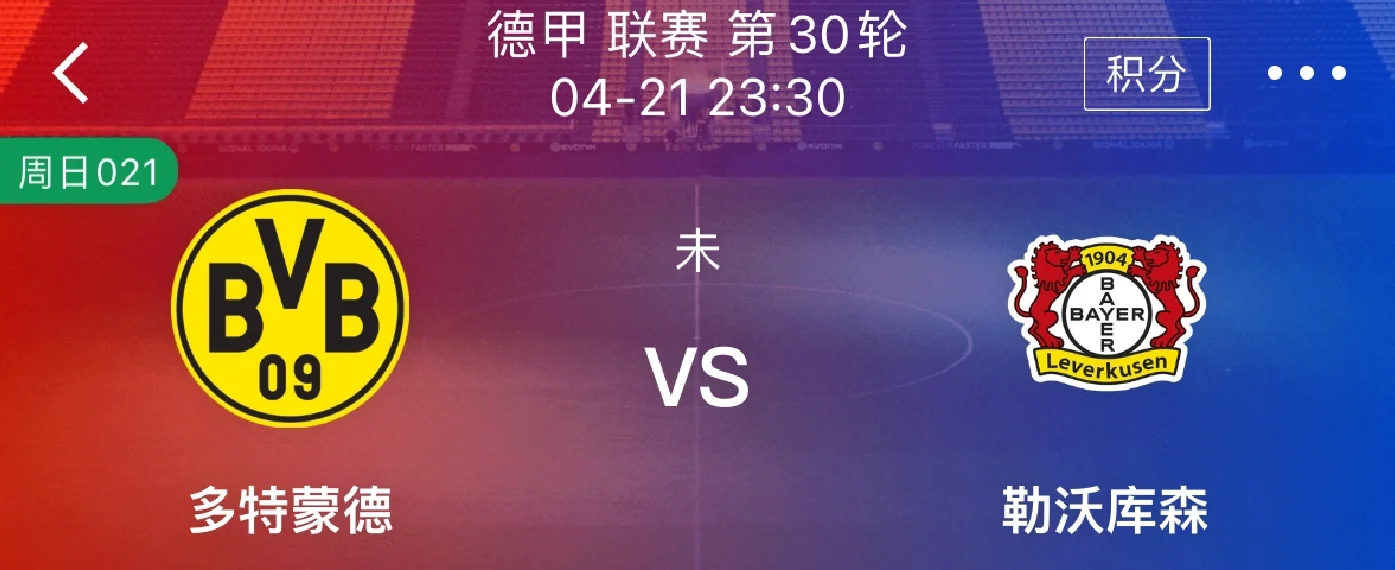爱游戏中国官网-勒沃库森客场不敌多特蒙德，积分落后