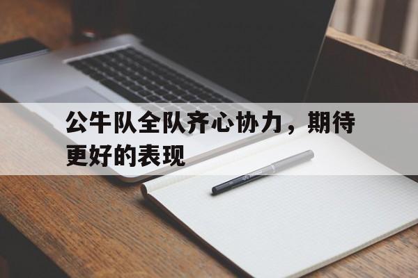 公牛队全队齐心协力，期待更好的表现的简单介绍