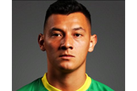 哥伦比亚中场门多萨入选年度最佳阵容，成为焦点的简单介绍