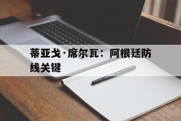 爱游戏登录入口-蒂亚戈·席尔瓦：阿根廷防线关键的简单介绍