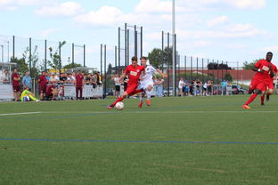 爱游戏网页版入口-南安普顿客场告捷，势头正劲积分追赶